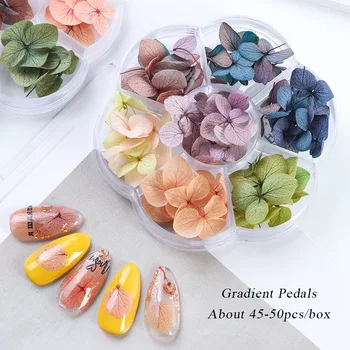 1 cutie de Unghii, flori uscate uri Japoneze populare veșnică flori frumoase unghii mari aplicatiile bijuterii material Conservat Flori