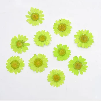 Cristal Crizanteme Flori DIY de Mână Carte Relief Picătură de Lipici Uscat Mici Daisy Crizanteme Flori Uscate Accesorii Decor